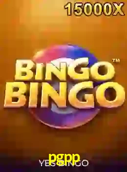 bingobingo